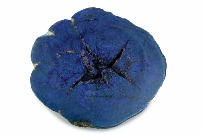 Vivid Blue Cut/Polished Azurite Nodule - Siberia #379842